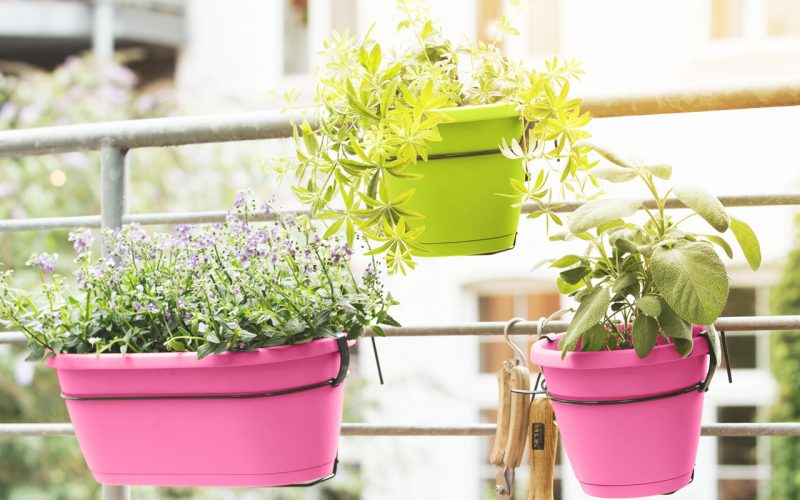 Garten & Werkzeuge