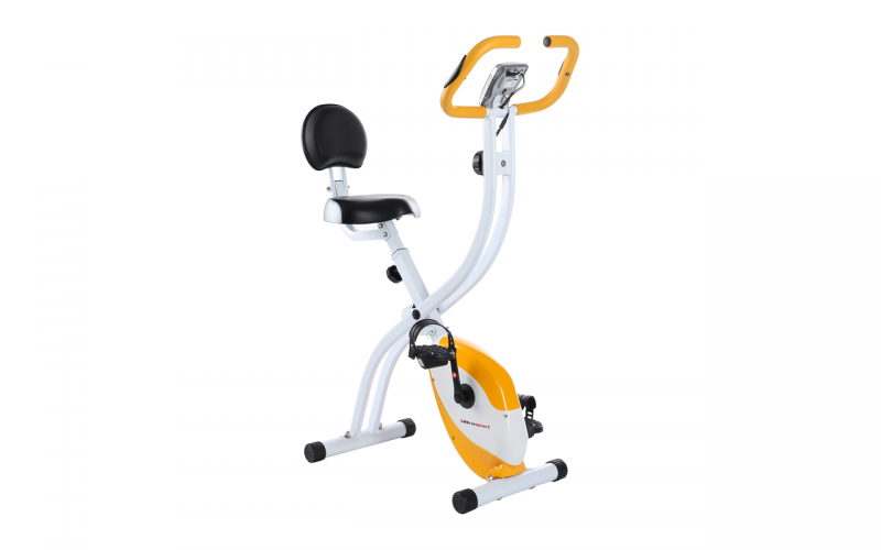 Sport & Lifestyle